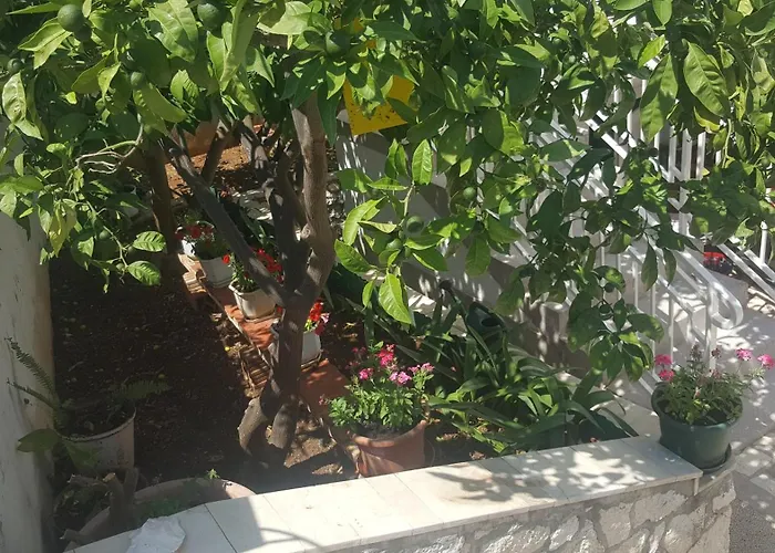 Double Hvar 15378a Hvar Town