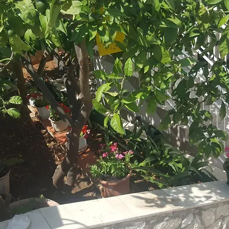 Double Hvar 15378a Hvar Town